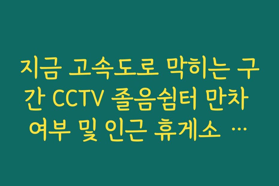 지금 고속도로 막히는 구간 CCTV 졸음쉼터 만차 여부 및 인근 휴게소 소통