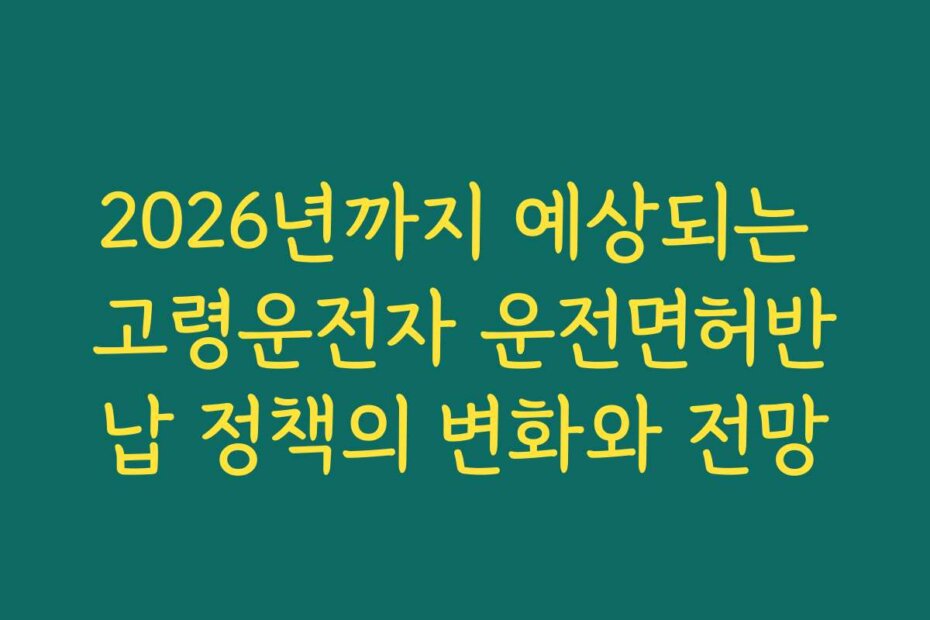 2026년까지 예상되는 고령운전자 운전면허반납 정책의 변화와 전망