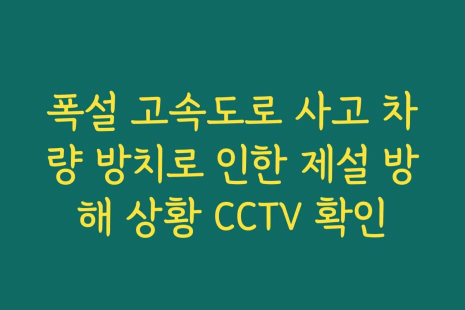 폭설 고속도로 사고 차량 방치로 인한 제설 방해 상황 CCTV 확인