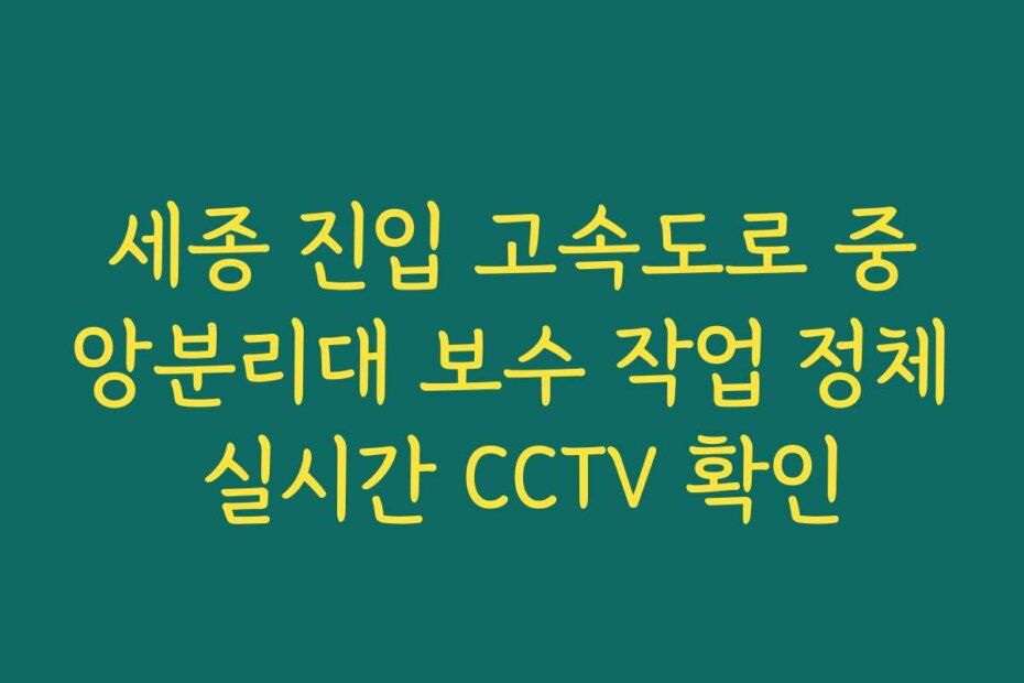 세종 진입 고속도로 중앙분리대 보수 작업 정체 실시간 CCTV 확인