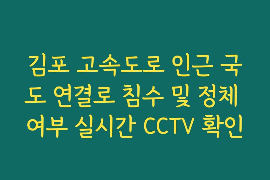 김포 고속도로 인근 국도 연결로 침수 및 정체 여부 실시간 CCTV 확인