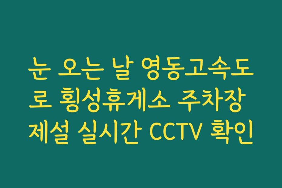 눈 오는 날 영동고속도로 횡성휴게소 주차장 제설 실시간 CCTV 확인