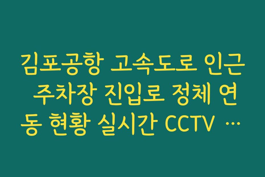 김포공항 고속도로 인근 주차장 진입로 정체 연동 현황 실시간 CCTV 확인