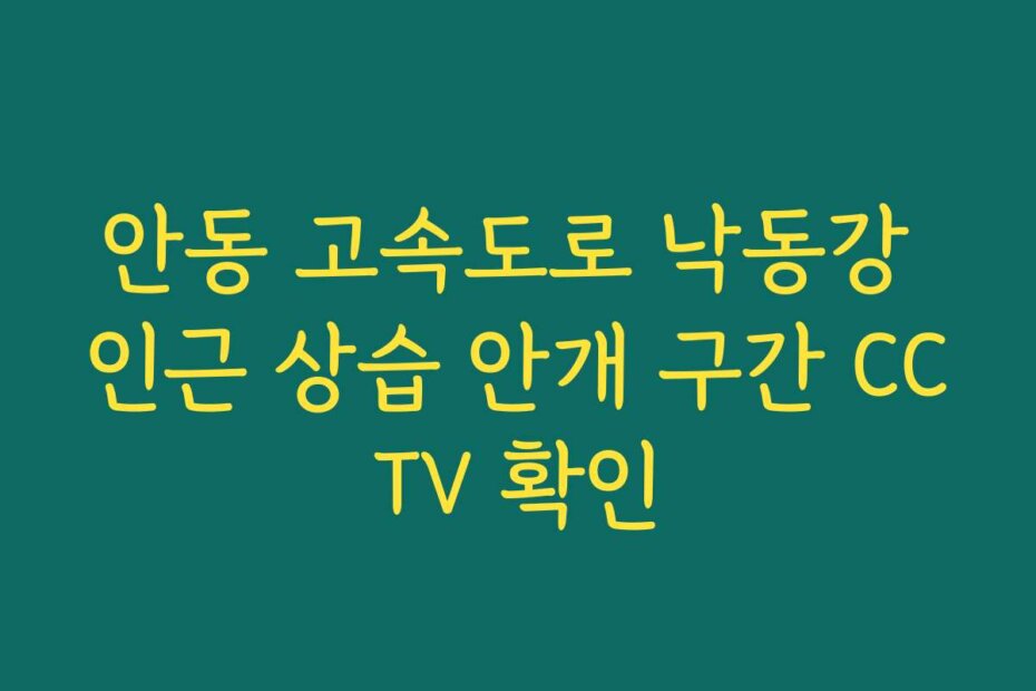 안동 고속도로 낙동강 인근 상습 안개 구간 CCTV 확인