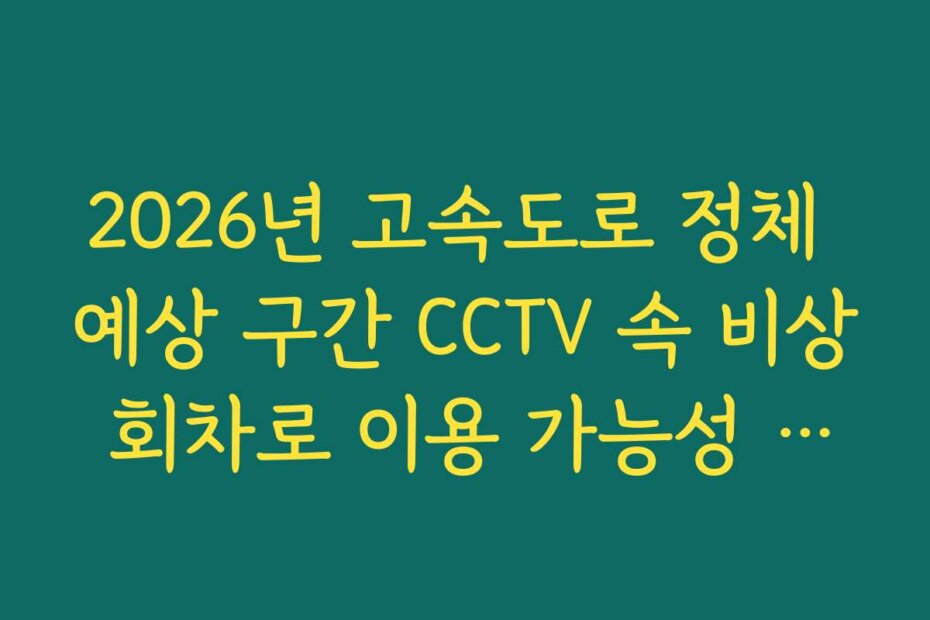 2026년 고속도로 정체 예상 구간 CCTV 속 비상 회차로 이용 가능성 체크