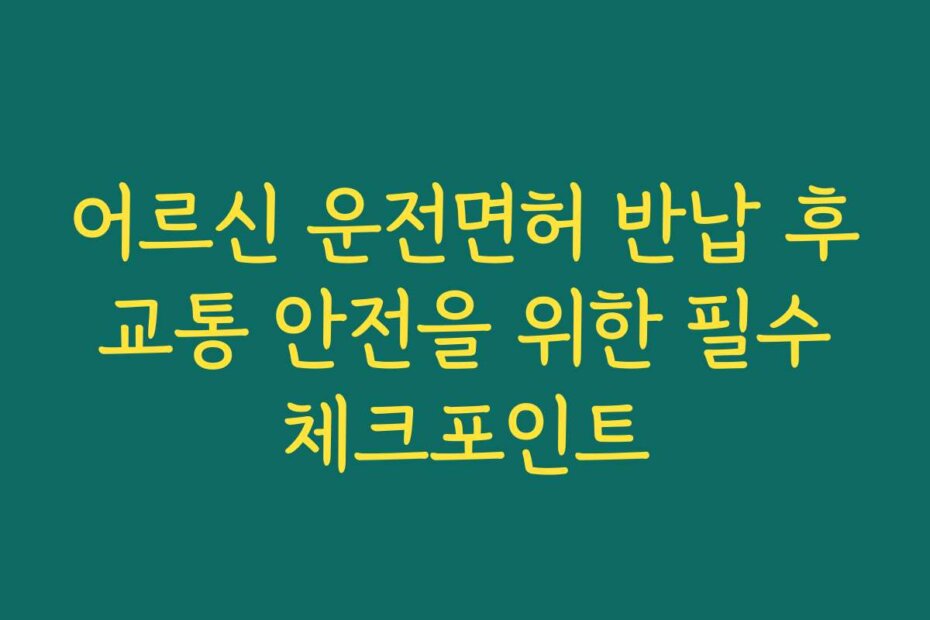 어르신 운전면허 반납 후 교통 안전을 위한 필수 체크포인트