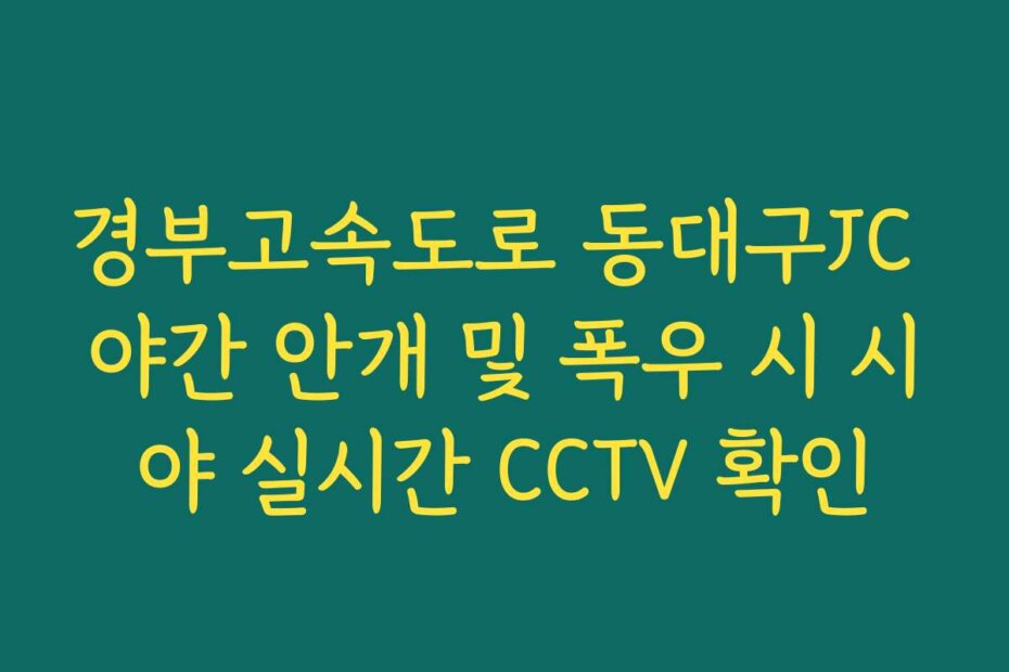 경부고속도로 동대구JC 야간 안개 및 폭우 시 시야 실시간 CCTV 확인