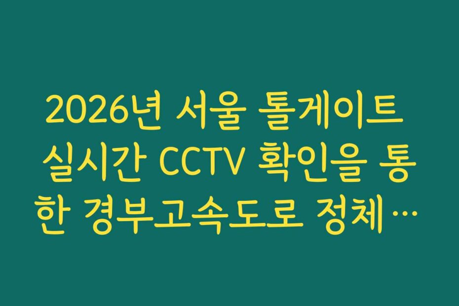 2026년 서울 톨게이트 실시간 CCTV 확인을 통한 경부고속도로 정체 회피 방법