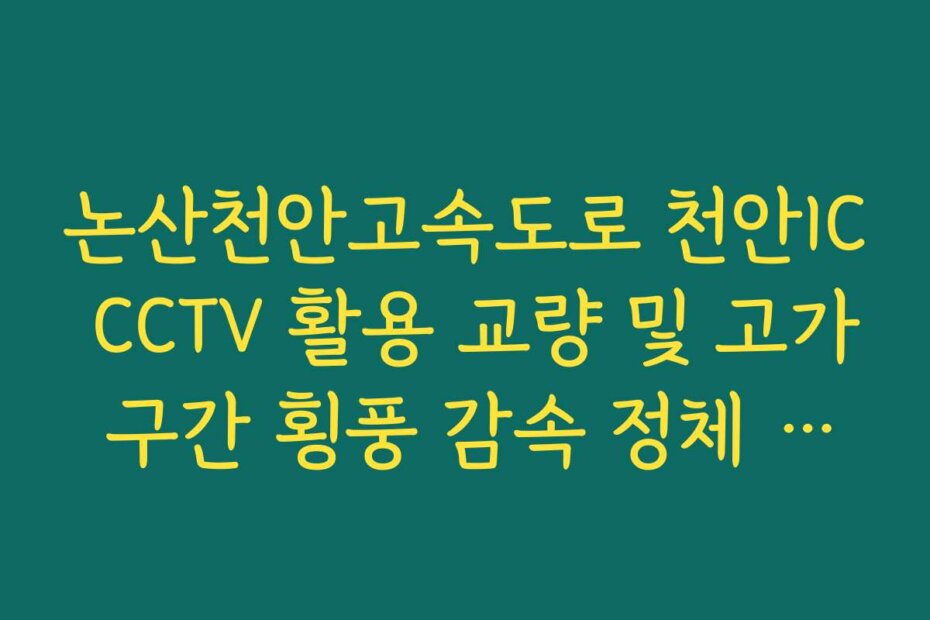 논산천안고속도로 천안IC CCTV 활용 교량 및 고가 구간 횡풍 감속 정체 실시간 확인 방법