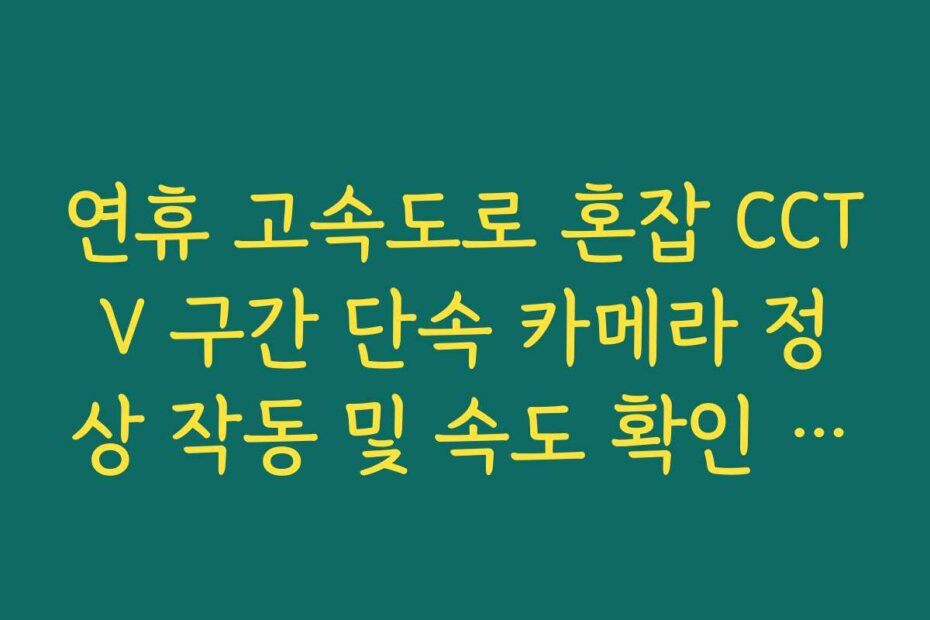 연휴 고속도로 혼잡 CCTV 구간 단속 카메라 정상 작동 및 속도 확인 방법