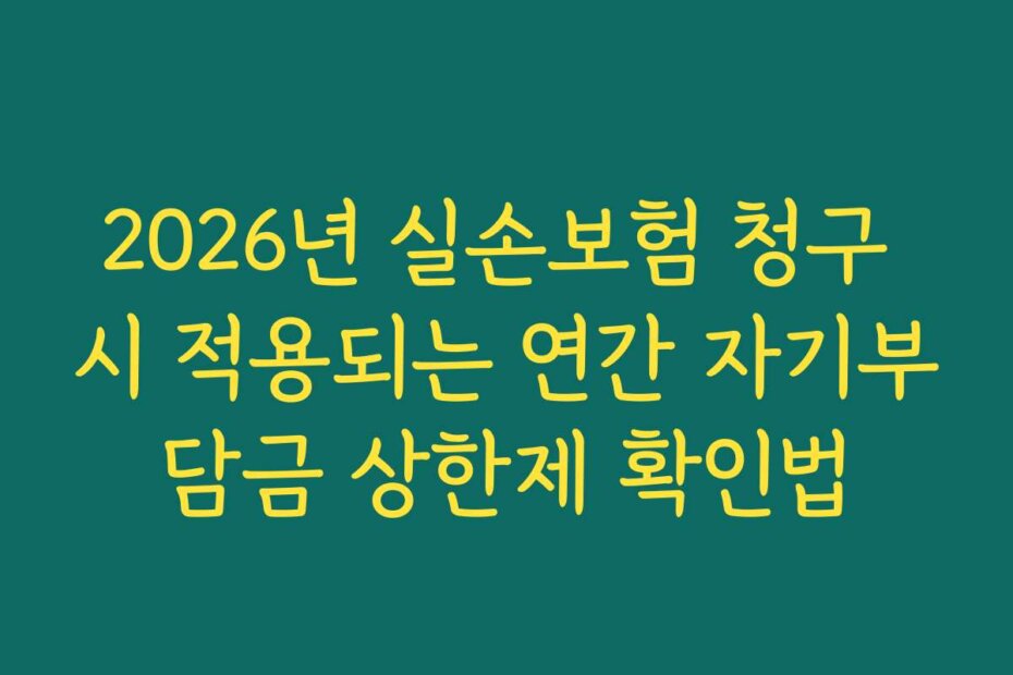 2026년 실손보험 청구 시 적용되는 연간 자기부담금 상한제 확인법