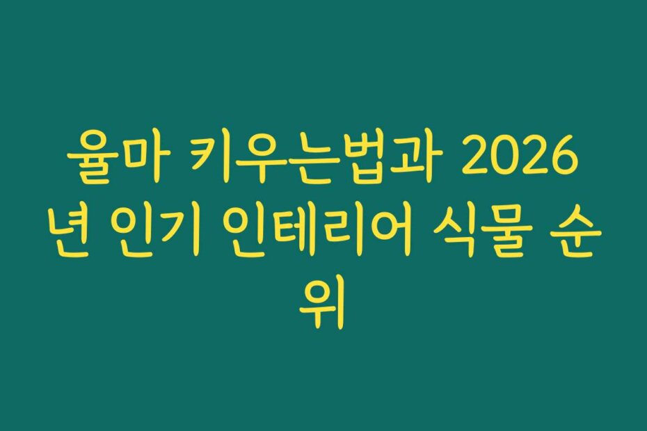 율마 키우는법과 2026년 인기 인테리어 식물 순위