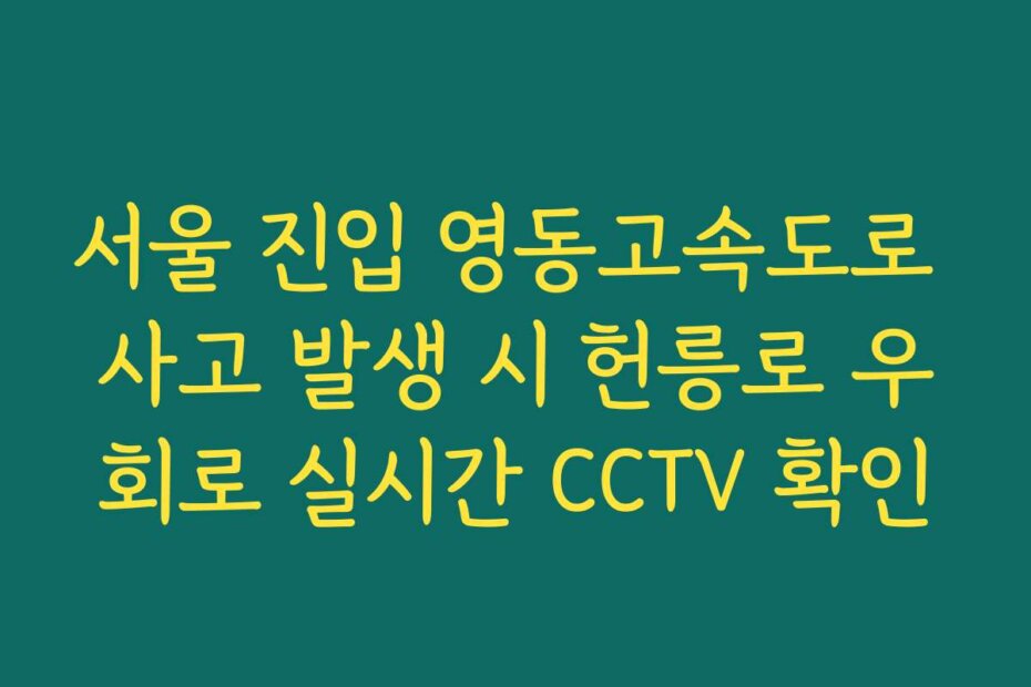 서울 진입 영동고속도로 사고 발생 시 헌릉로 우회로 실시간 CCTV 확인