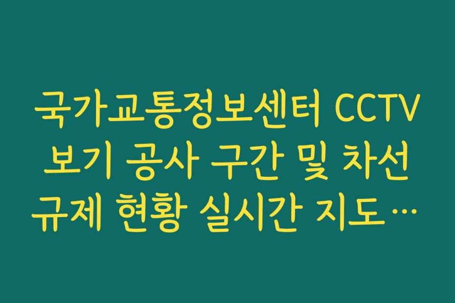 국가교통정보센터 CCTV 보기 공사 구간 및 차선 규제 현황 실시간 지도 표시