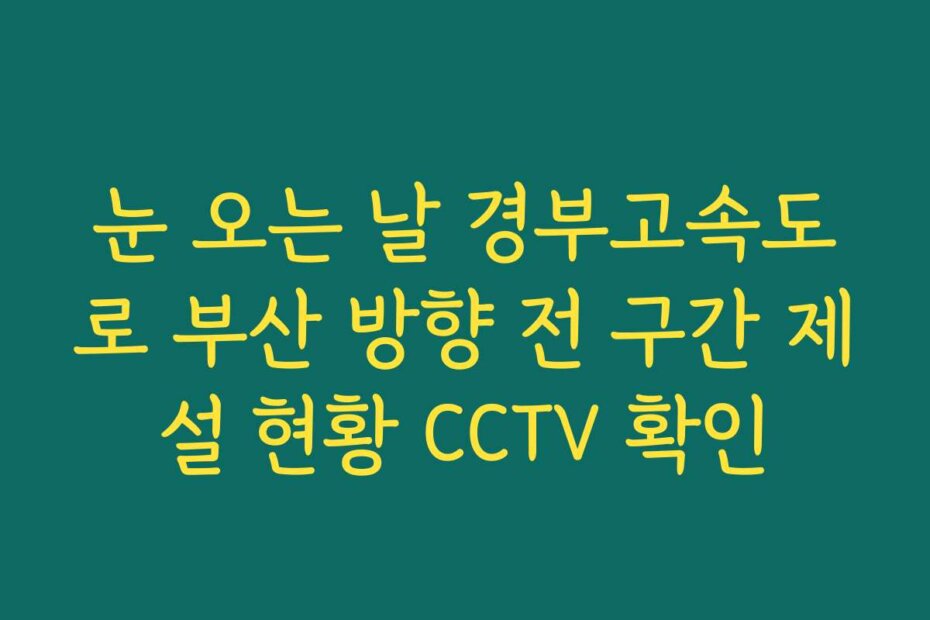 눈 오는 날 경부고속도로 부산 방향 전 구간 제설 현황 CCTV 확인