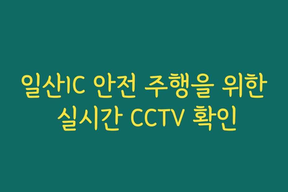 일산IC 안전 주행을 위한 실시간 CCTV 확인