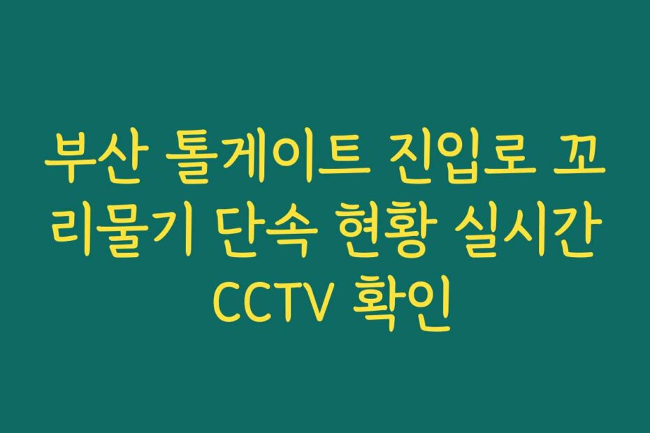 부산 톨게이트 진입로 꼬리물기 단속 현황 실시간 CCTV 확인