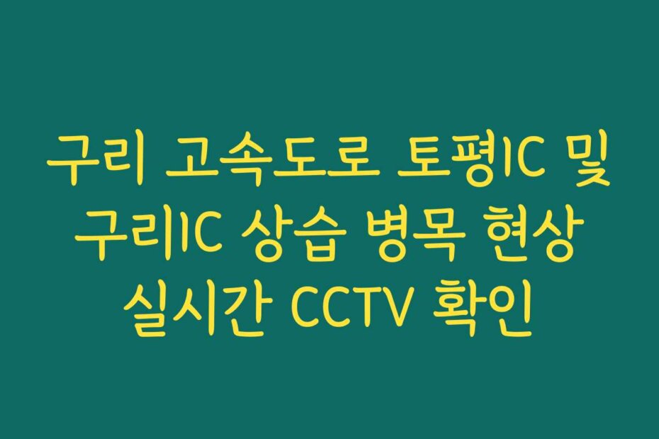 구리 고속도로 토평IC 및 구리IC 상습 병목 현상 실시간 CCTV 확인