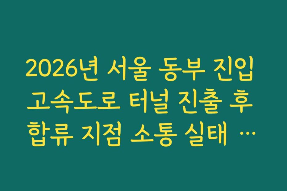 2026년 서울 동부 진입 고속도로 터널 진출 후 합류 지점 소통 실태 실시간 CCTV