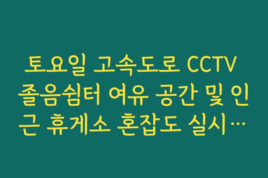 토요일 고속도로 CCTV 졸음쉼터 여유 공간 및 인근 휴게소 혼잡도 실시간 체크
