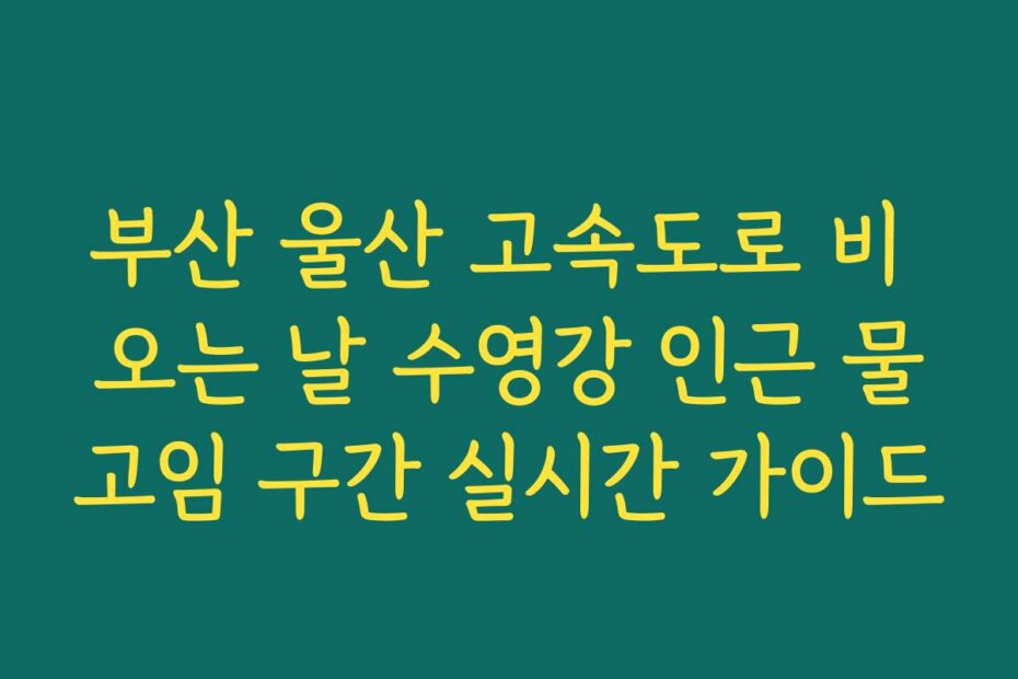 부산 울산 고속도로 비 오는 날 수영강 인근 물고임 구간 실시간 가이드