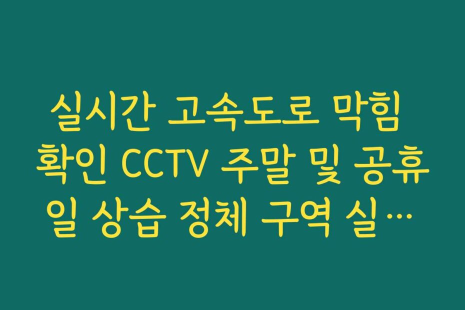 실시간 고속도로 막힘 확인 CCTV 주말 및 공휴일 상습 정체 구역 실시간 리스트