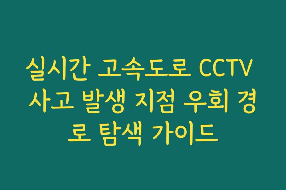 실시간 고속도로 CCTV 사고 발생 지점 우회 경로 탐색 가이드
