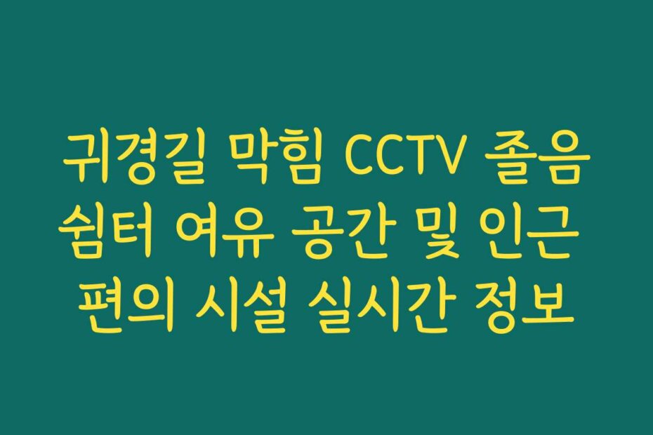 귀경길 막힘 CCTV 졸음쉼터 여유 공간 및 인근 편의 시설 실시간 정보