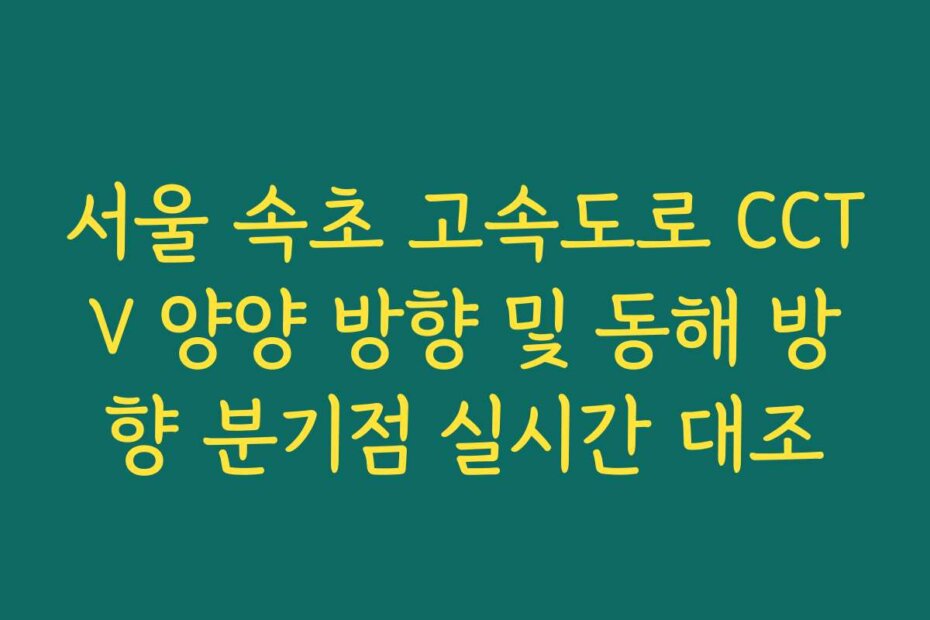 서울 속초 고속도로 CCTV 양양 방향 및 동해 방향 분기점 실시간 대조