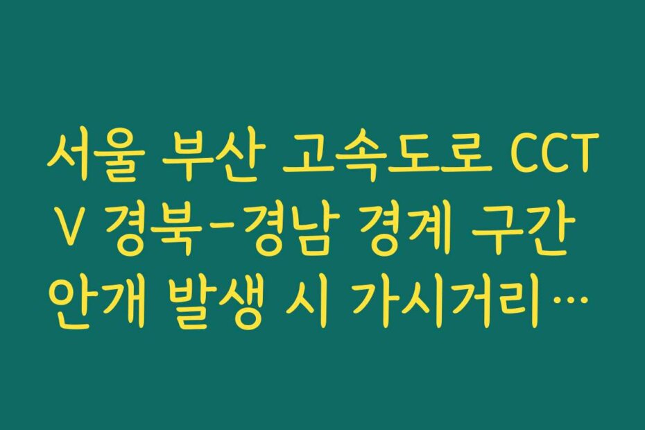 서울 부산 고속도로 CCTV 경북-경남 경계 구간 안개 발생 시 가시거리 확인