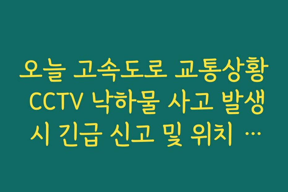 오늘 고속도로 교통상황 CCTV 낙하물 사고 발생 시 긴급 신고 및 위치 파악