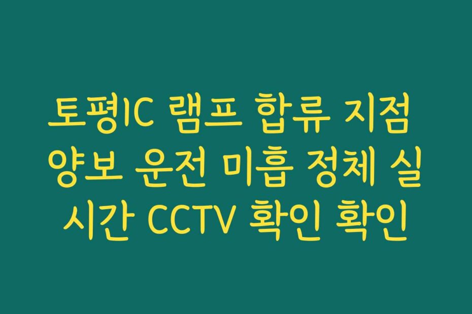 토평IC 램프 합류 지점 양보 운전 미흡 정체 실시간 CCTV 확인 확인