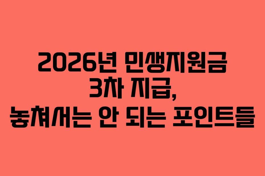 2026년 민생지원금 3차 지급, 놓쳐서는 안 되는 포인트들