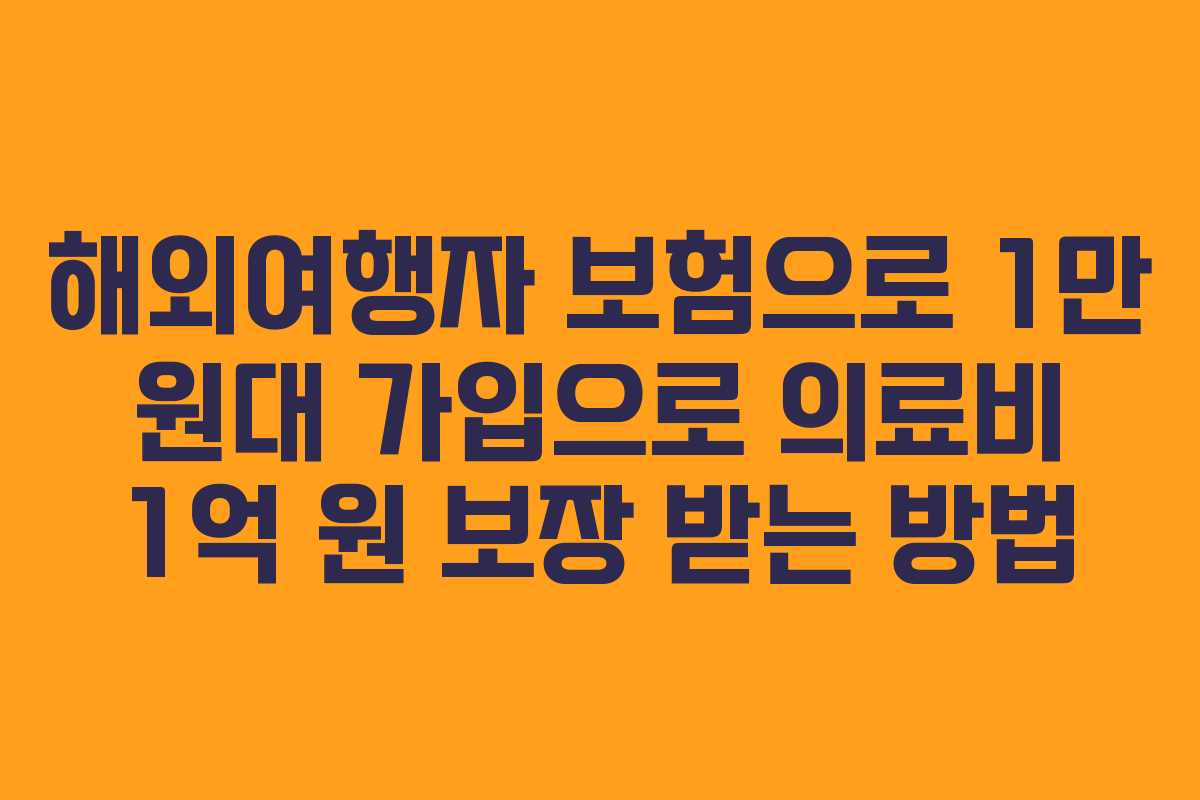 해외여행자 보험으로 1만 원대 가입으로 의료비 1억 원 보장 받는 방법