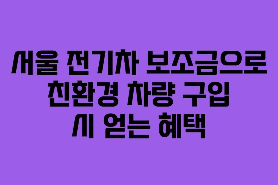 서울 전기차 보조금으로 친환경 차량 구입 시 얻는 혜택