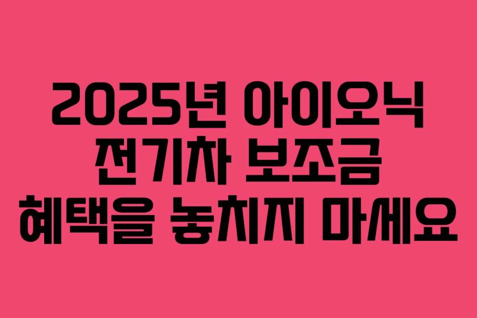 2025년 아이오닉 전기차 보조금 혜택을 놓치지 마세요