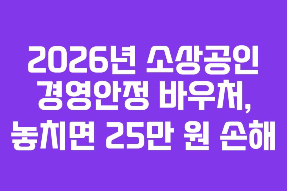2026년 소상공인 경영안정 바우처, 놓치면 25만 원 손해
