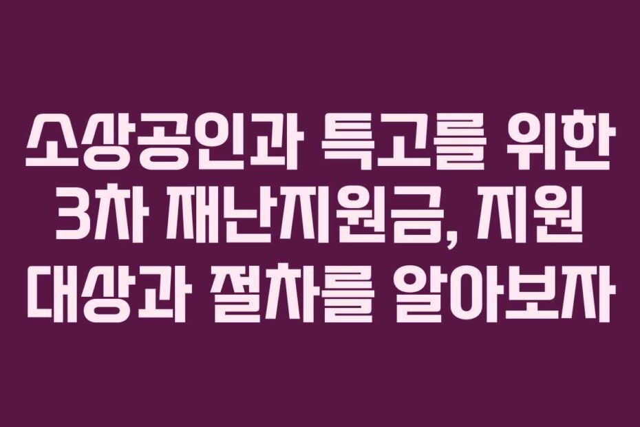 소상공인과 특고를 위한 3차 재난지원금, 지원 대상과 절차를 알아보자