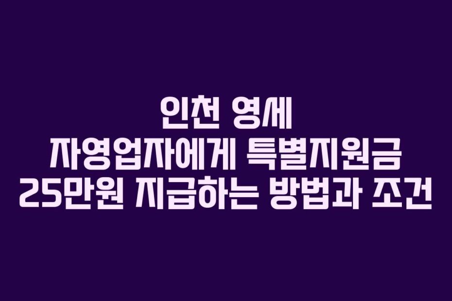 인천 영세 자영업자에게 특별지원금 25만원 지급하는 방법과 조건