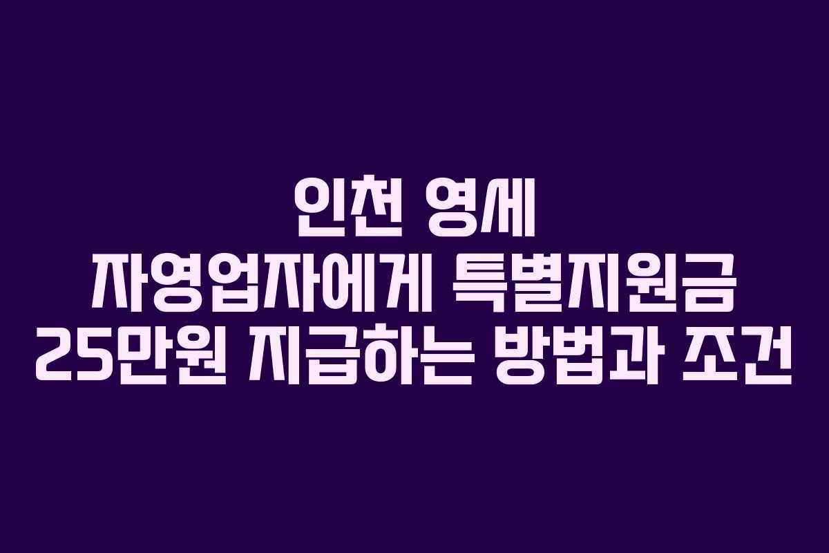 인천 영세 자영업자에게 특별지원금 25만원 지급하는 방법과 조건