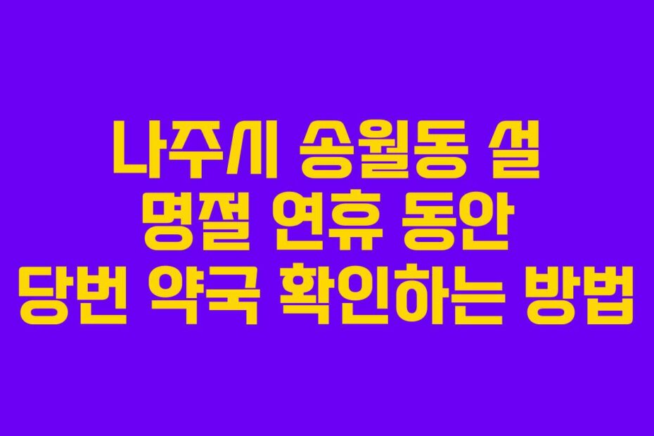 나주시 송월동 설 명절 연휴 동안 당번 약국 확인하는 방법