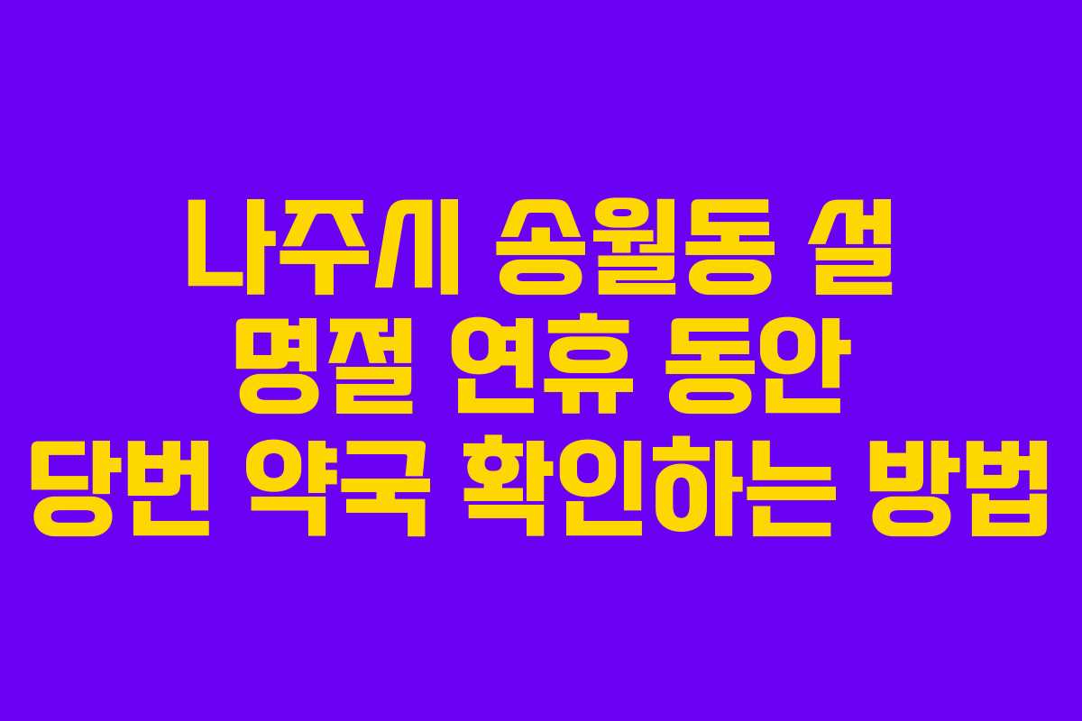 나주시 송월동 설 명절 연휴 동안 당번 약국 확인하는 방법