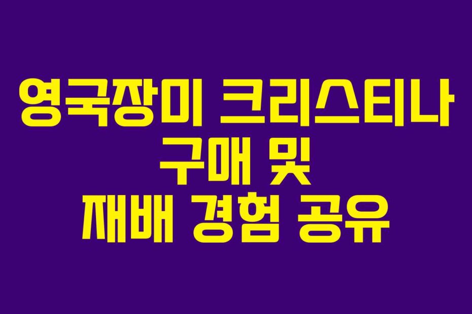 영국장미 크리스티나 구매 및 재배 경험 공유