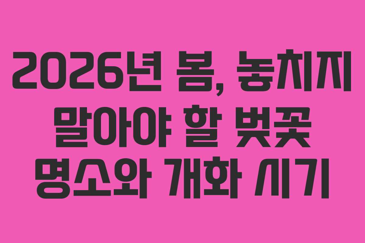 2026년 봄, 놓치지 말아야 할 벚꽃 명소와 개화 시기