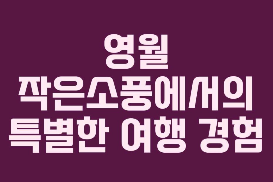 영월 작은소풍에서의 특별한 여행 경험