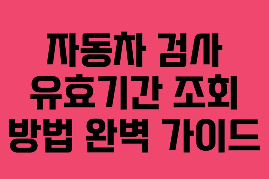 자동차 검사 유효기간 조회 방법 완벽 가이드