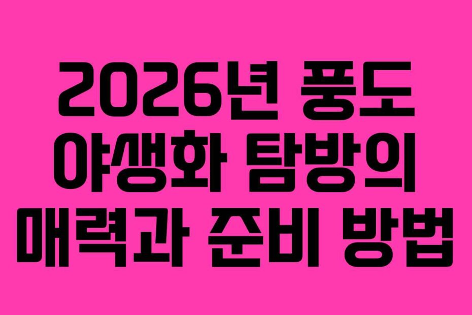 2026년 풍도 야생화 탐방의 매력과 준비 방법