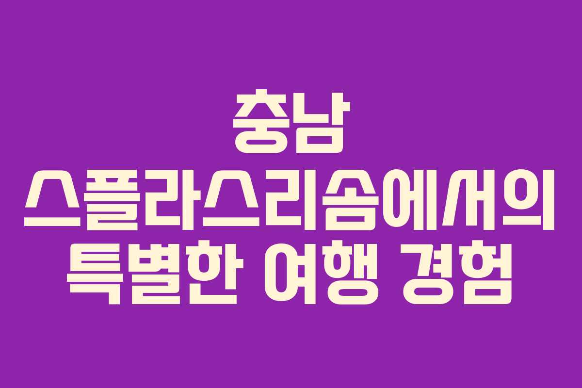 충남 스플라스리솜에서의 특별한 여행 경험