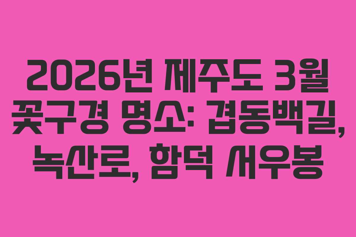 2026년 제주도 3월 꽃구경 명소: 겹동백길, 녹산로, 함덕 서우봉