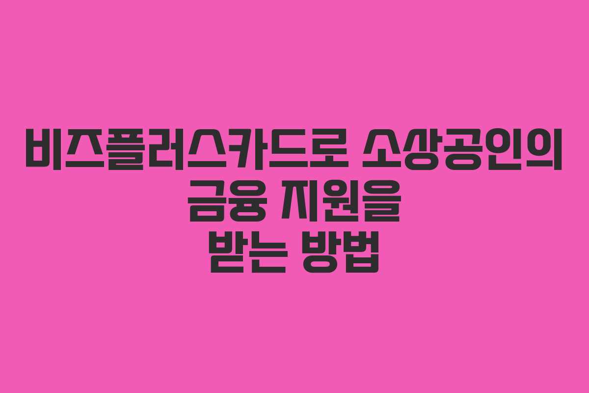 비즈플러스카드로 소상공인의 금융 지원을 받는 방법